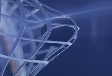 Кубок Пограничного управления